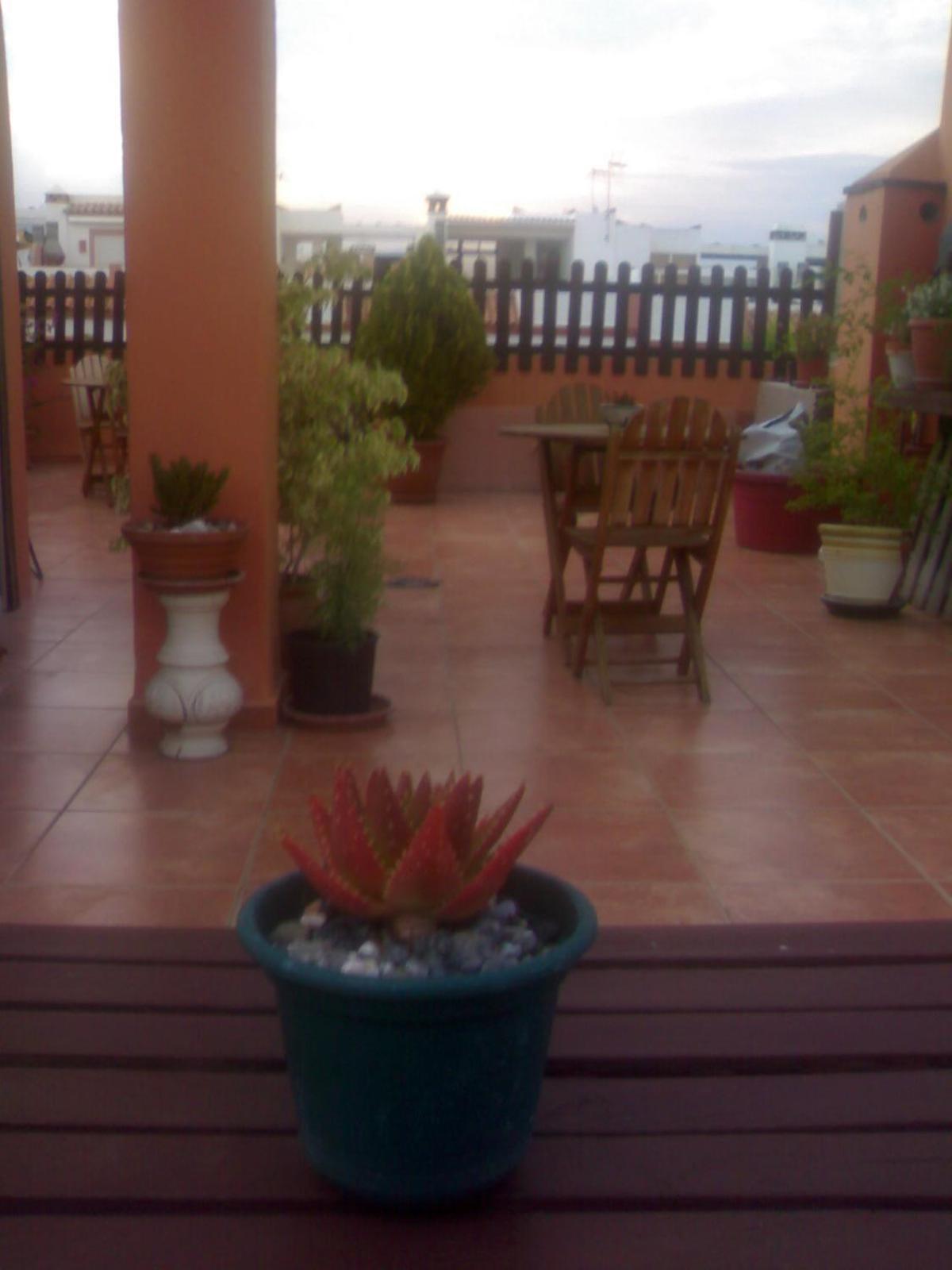 Hospederia V Centenario Estepona Ngoại thất bức ảnh